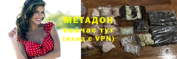 прущие грибы Горнозаводск