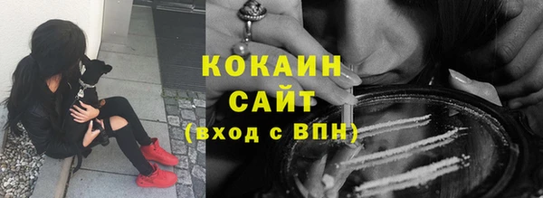 прущие грибы Горнозаводск